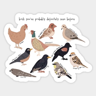 birds you've probably definitely seen before Sticker